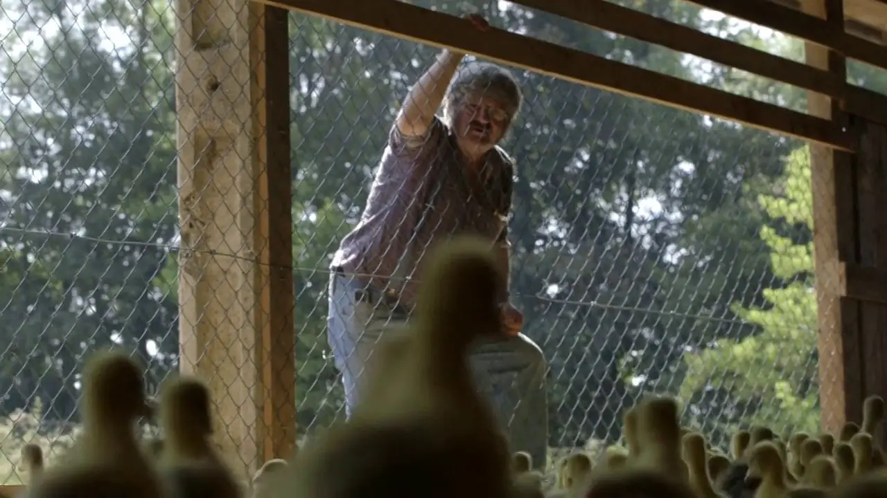 Standbild aus dem Film 1000 Gänse
